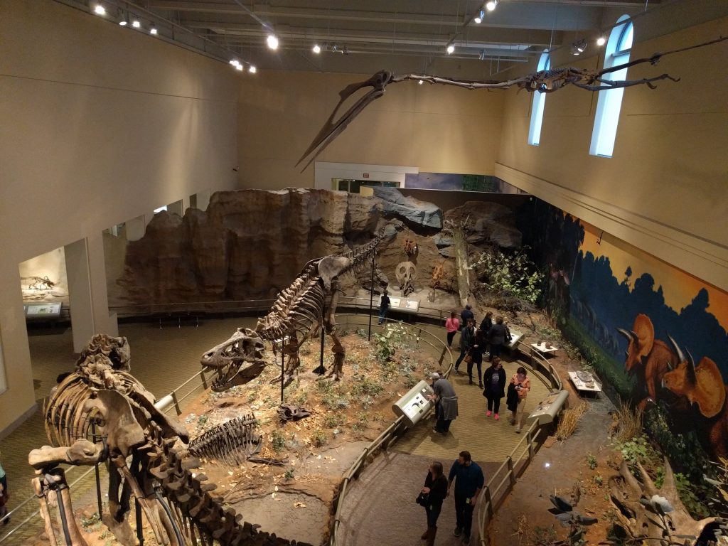 Overhead view of the Cretaceous hall at the Carnegie Museum of Natural History