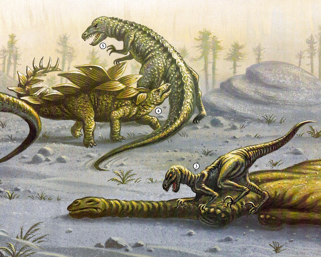 Dinosaurier - carnivores