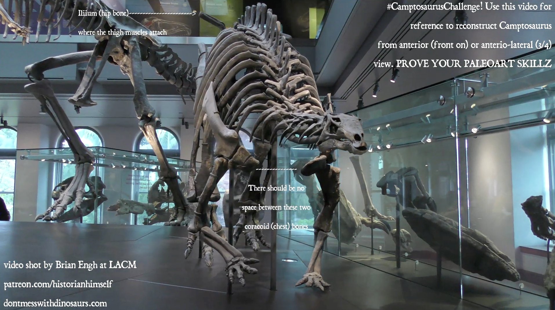 Brian Engh's "Camptosaurus Challenge" call to action