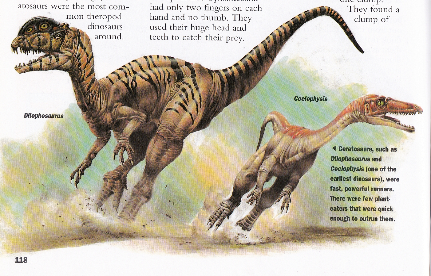 Ceratosaurs, sort of