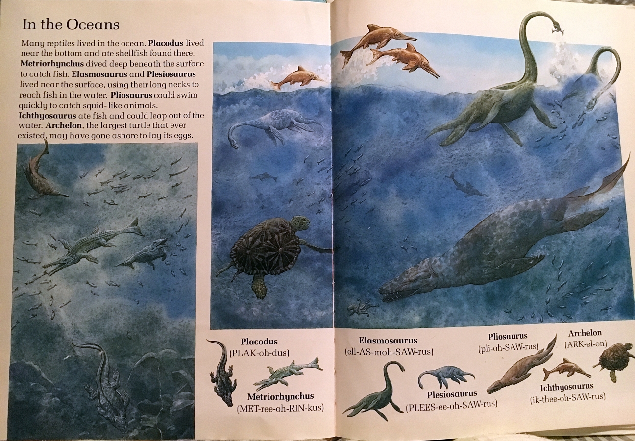Ocean creatures