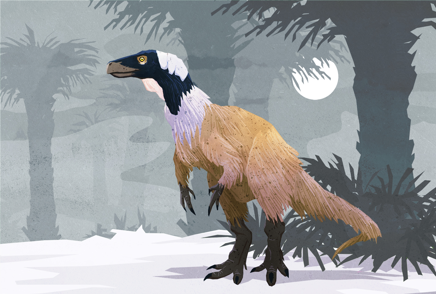 Illustration of Herrerasaurus ischigualastensis by Stavros Svensson Kundromichalis. Shared here with the artist's permission.