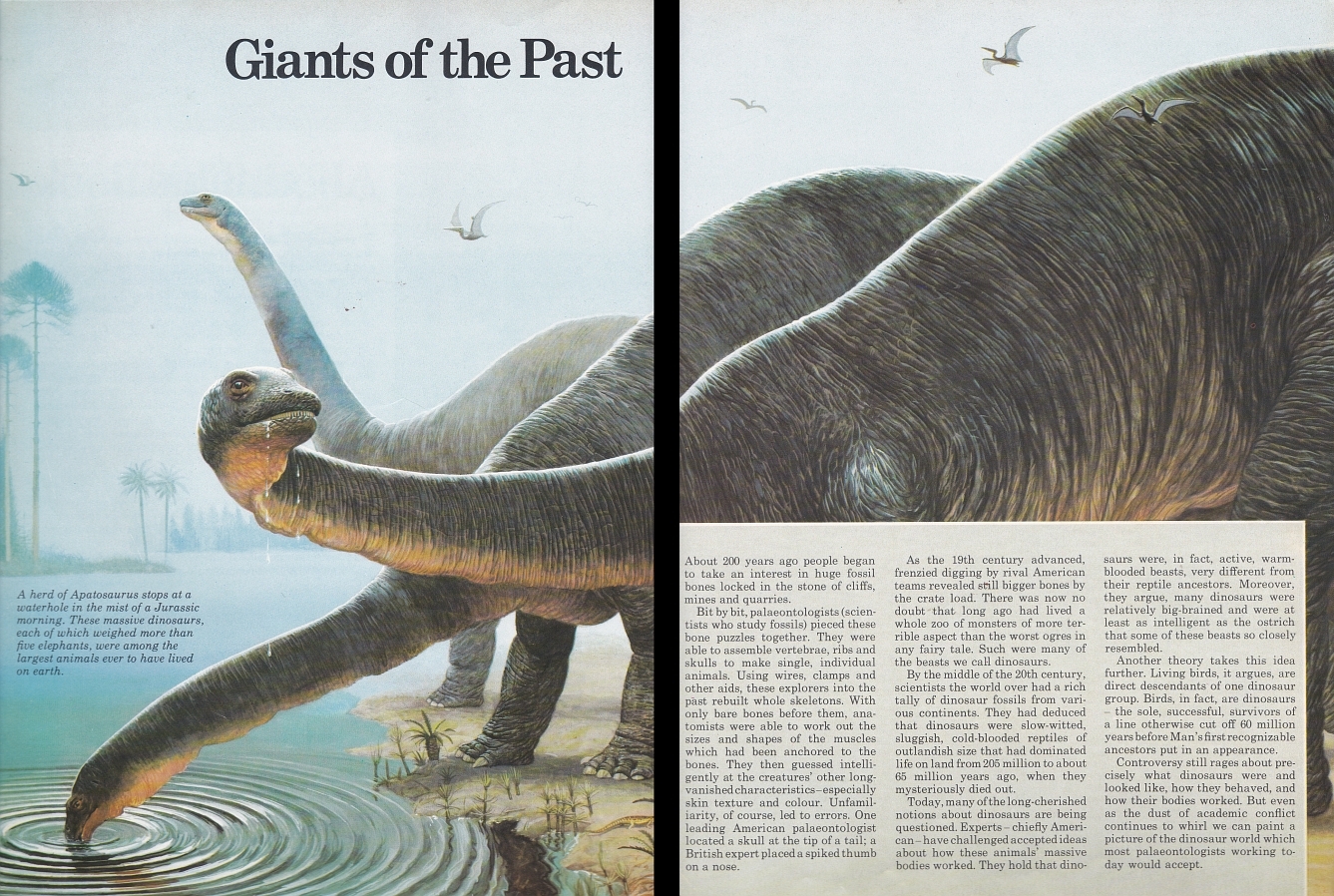 Apatosaurus by Bernard Robinson