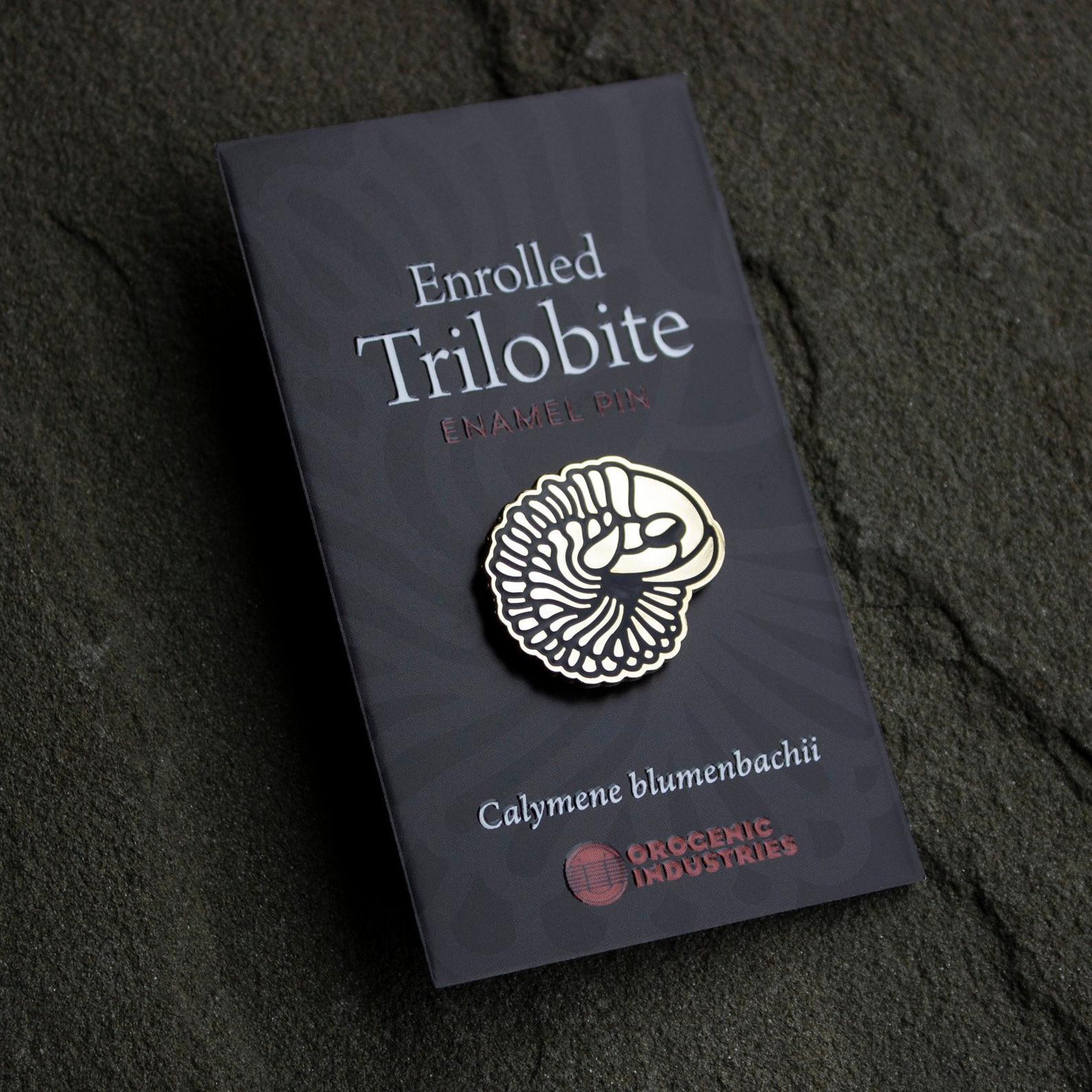 Gold enrolled trilobite enamel pin by Orogenic Industries
