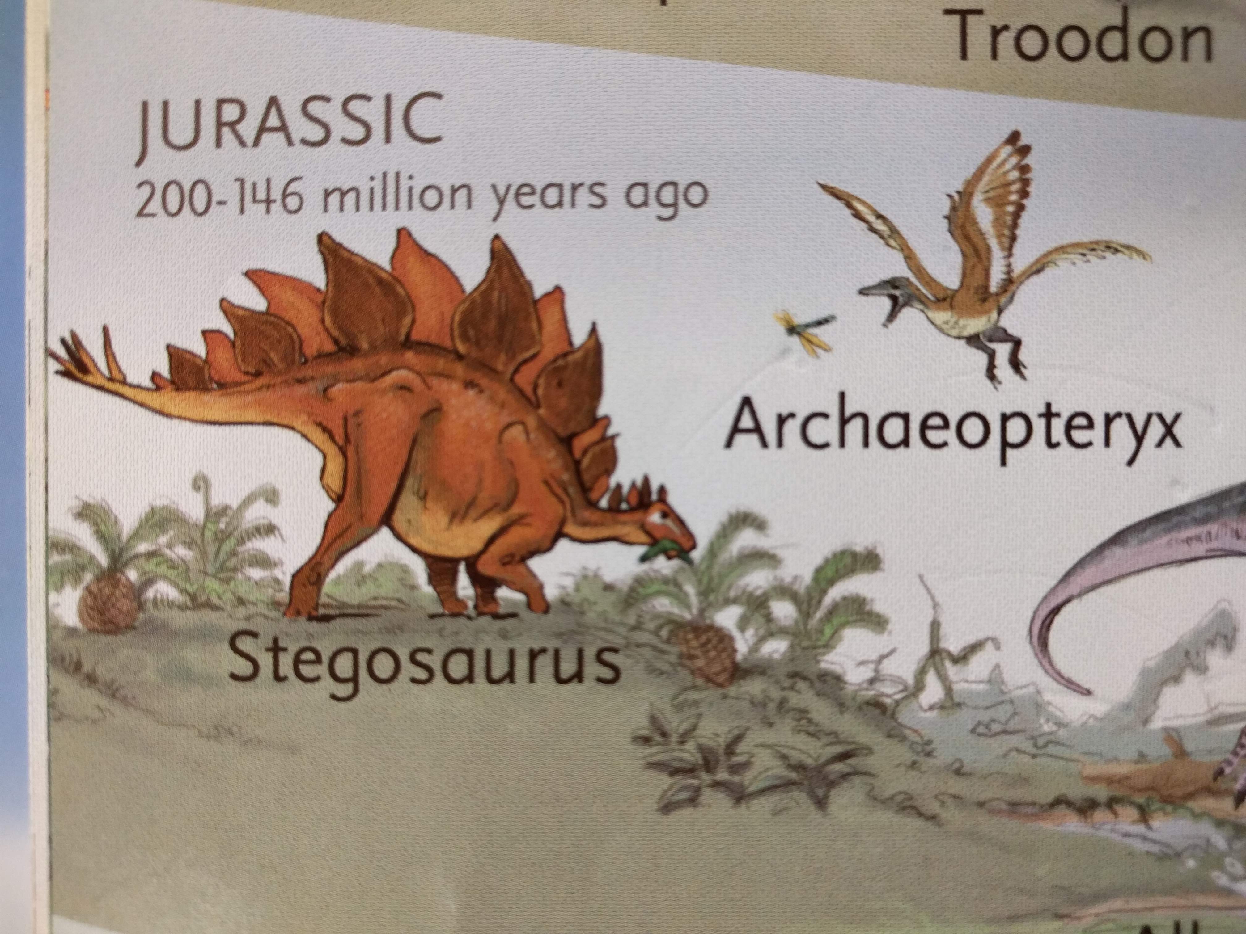 Detail view of a page depicting Stegosaurus and Archaeopteryx