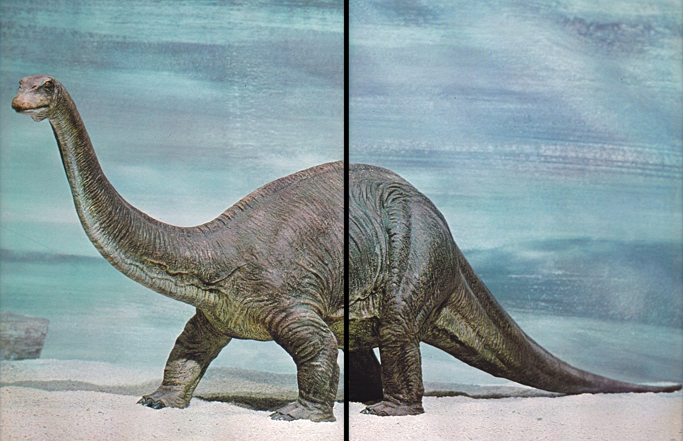 Apatosaurus by Arthur Hayward