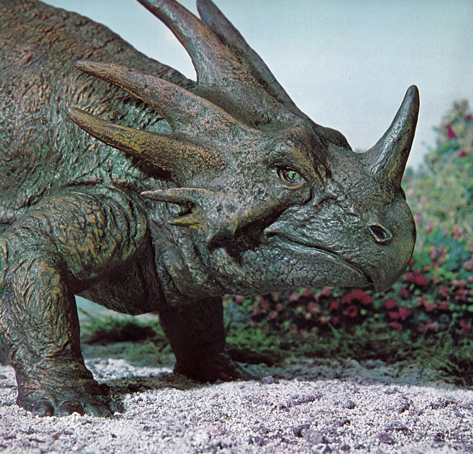 Styracosaurus by Arthur Hayward