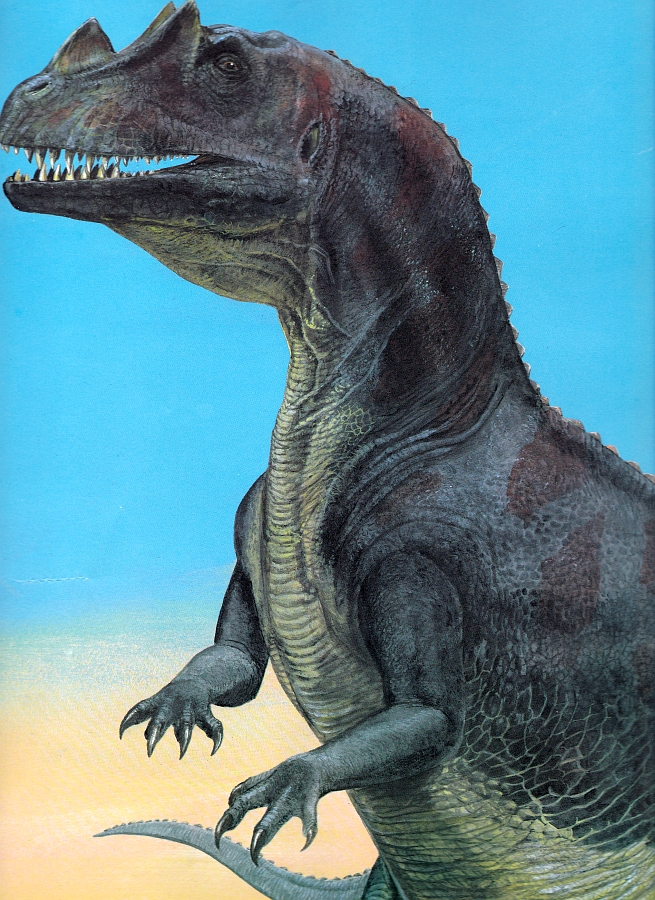 Ceratosaurus by Steve Kirk