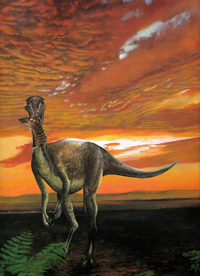 Stenonychosaurus by Steve Kirk