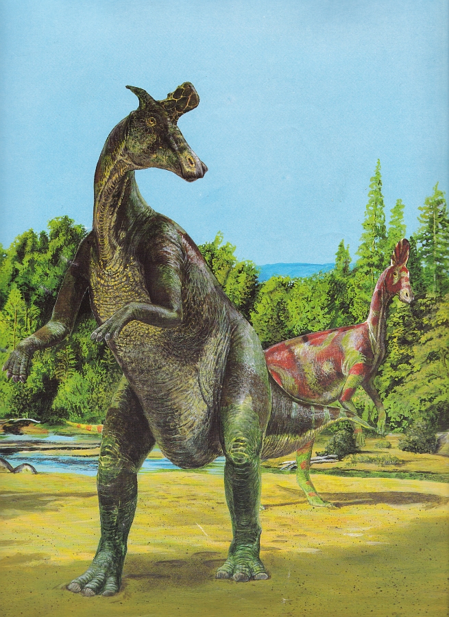 Lambeosaurus and Corythosaurus by Steve Kirk