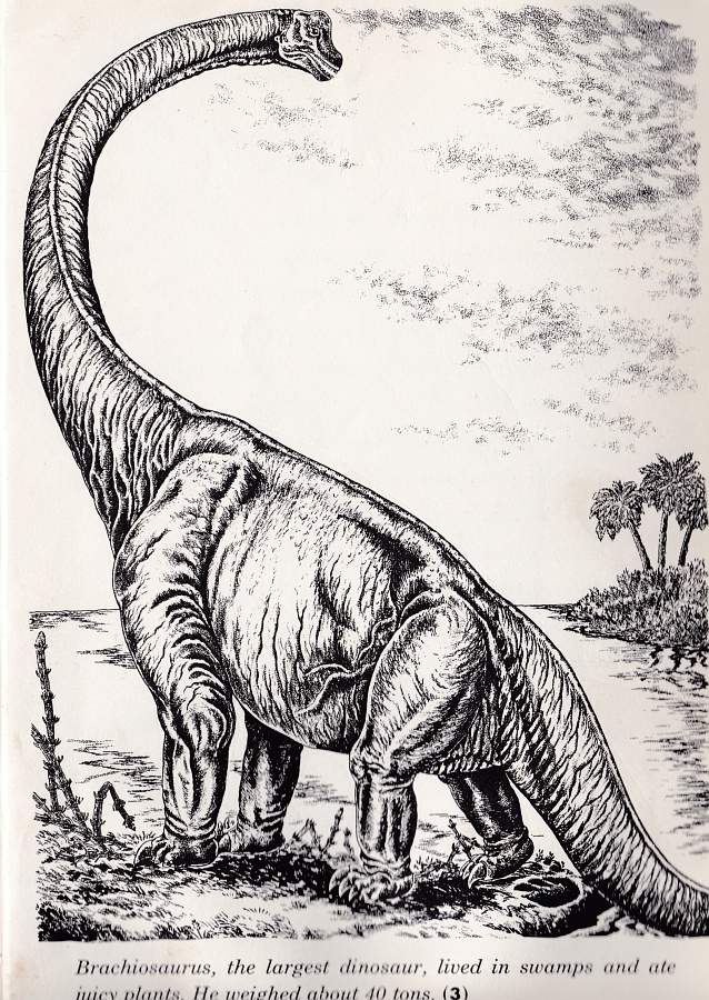 Brachiosaurus - Prehistoric Zoo