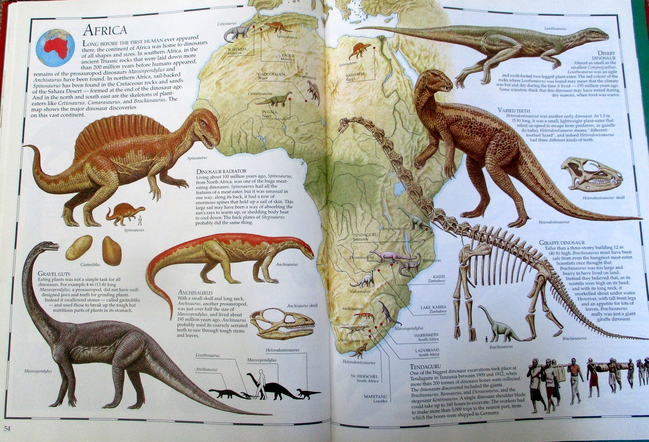 Great Dinosaur Atlas Africa