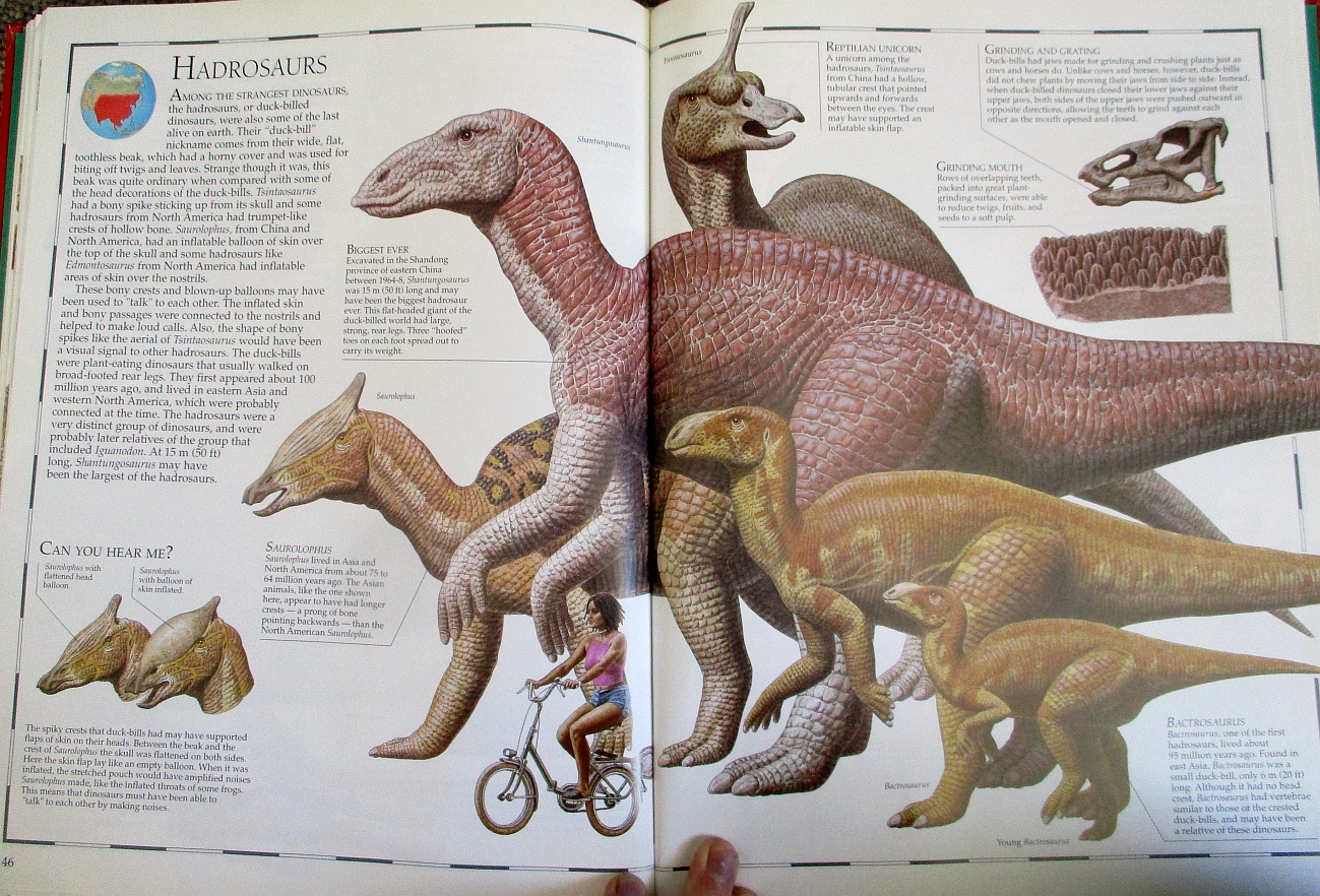 Hadrosaurs - Great Dinosaur Atlas