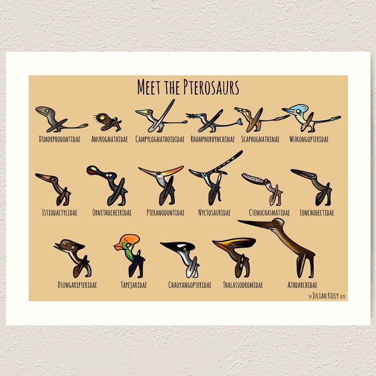 Meet the Pterosaurs print by Julian Kiely