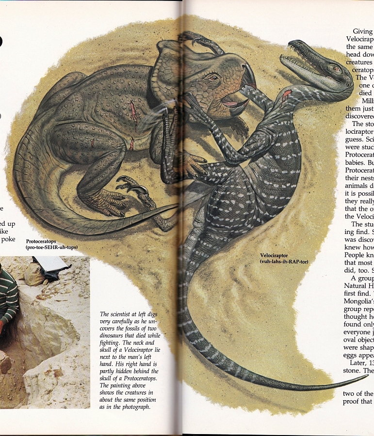 Protoceratops and Velociraptor by Mark Hallett