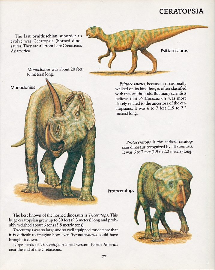 Ceratopsians by Peter Zallinger