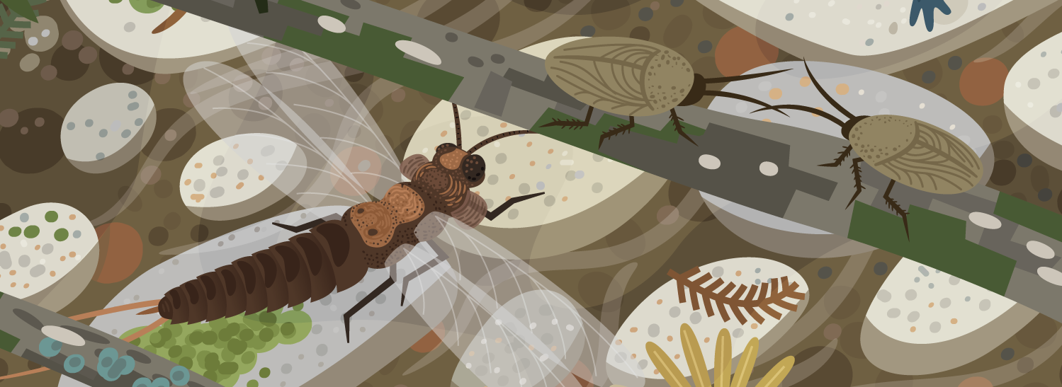 Cropped view of an illustrated creek bed in the Permian Bromacker ecosystem of Germany, featuring a paleodictyoperid insect and roachoids.