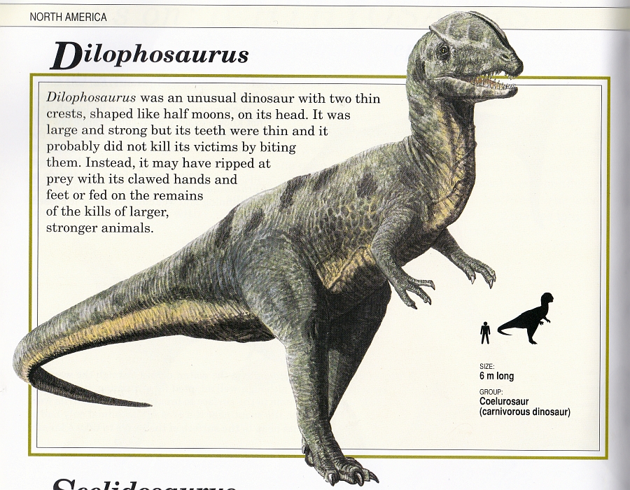 Dilophosaurus by Steve Kirk