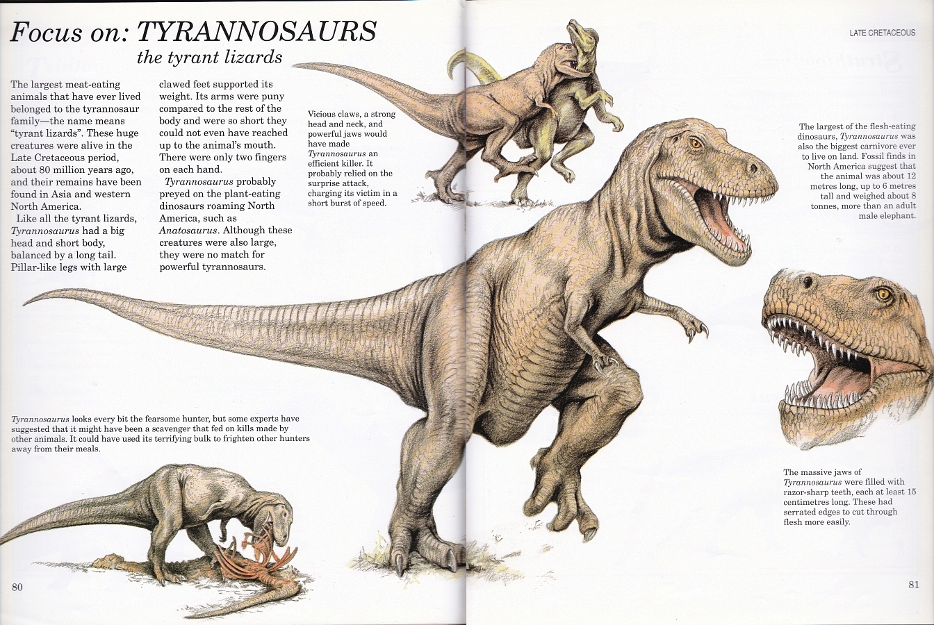 Tyrannosaurus by Mark Iley