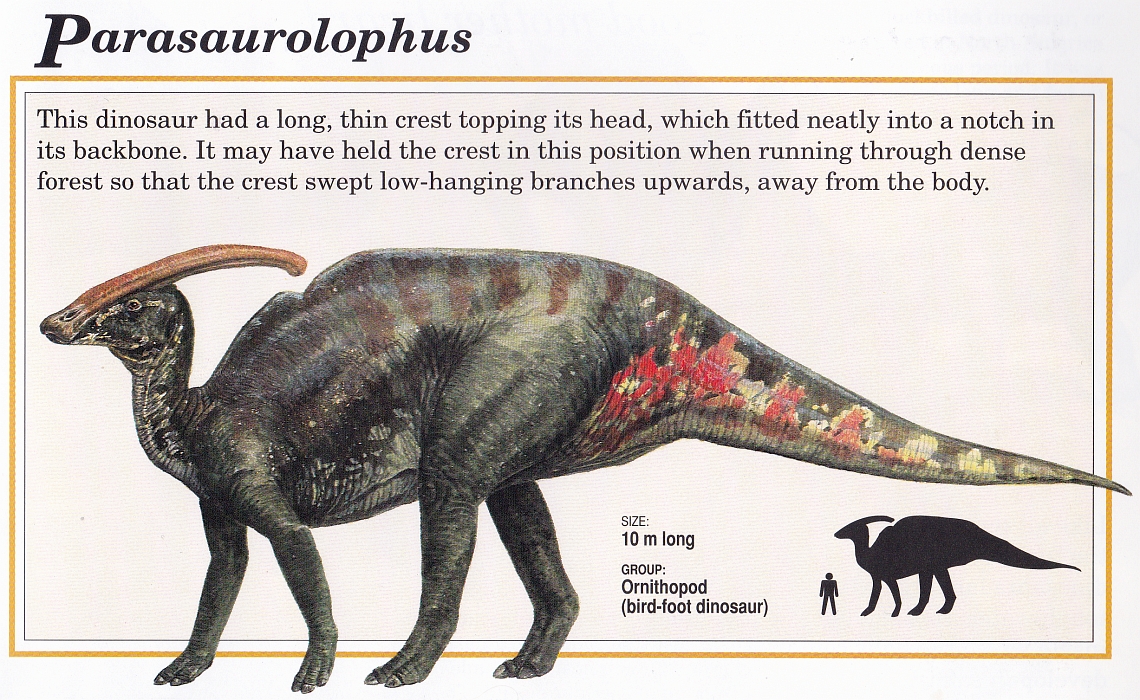 Parasaurolophus by Steve Kirk