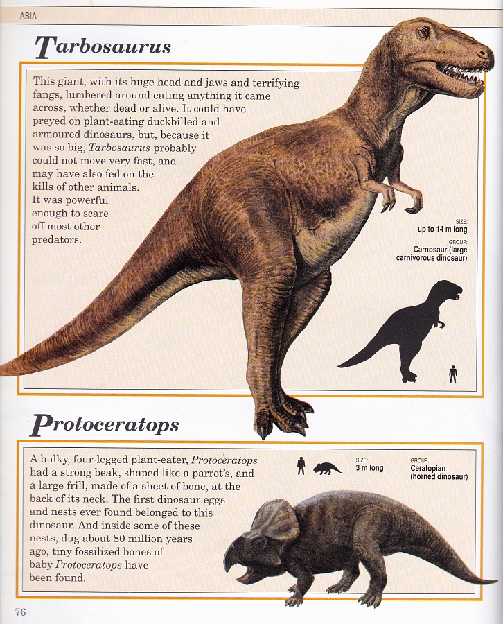 Tarbosaurus by Steve Kirk