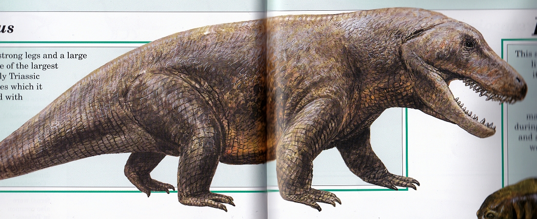 Erythrosuchus by Steve Kirk
