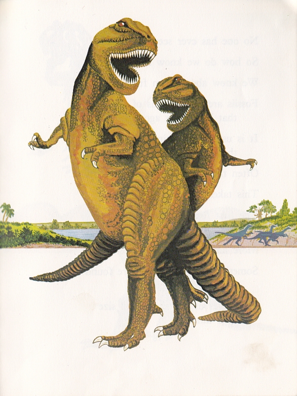 Tyrannosaurus by Maurice Hutchings
