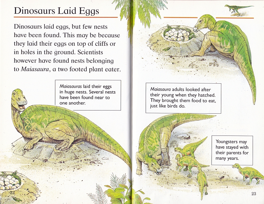 Dinosaurs Laid Eggs