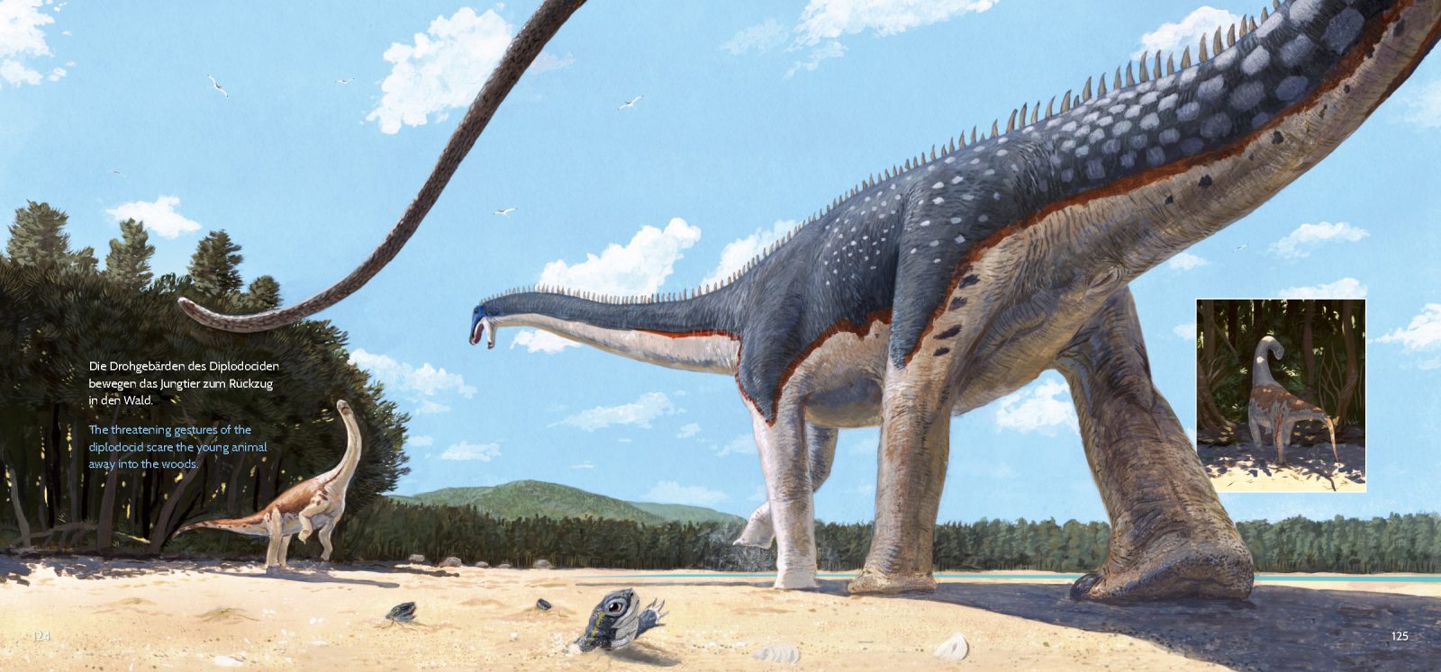 Diplodocid from Europasaurus