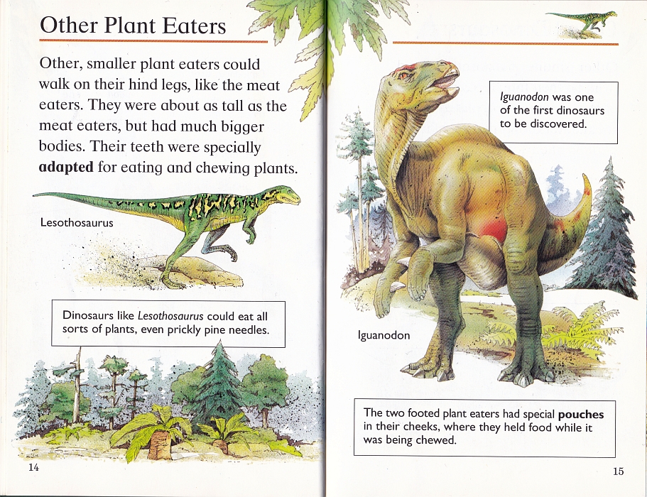 Other Plant Eaters