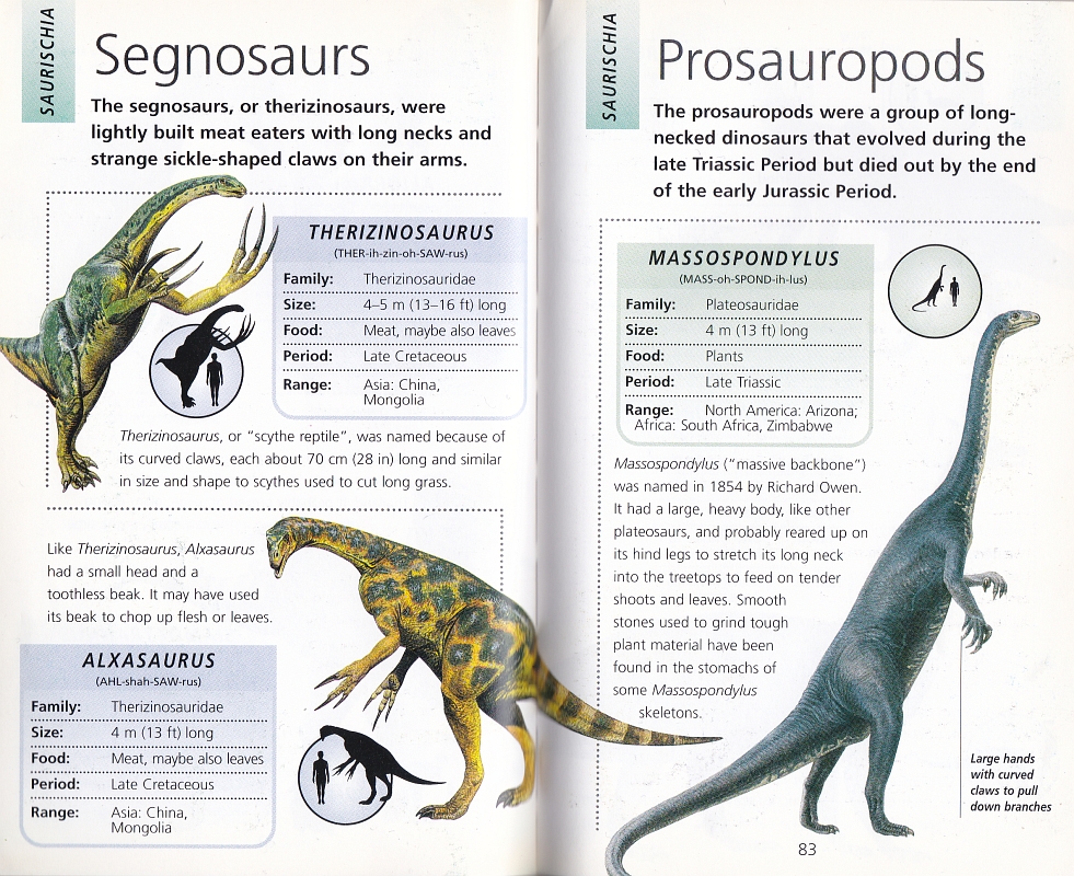 Therizinosaurus, Alxasaurus, and Massospondylus by Steve Kirk