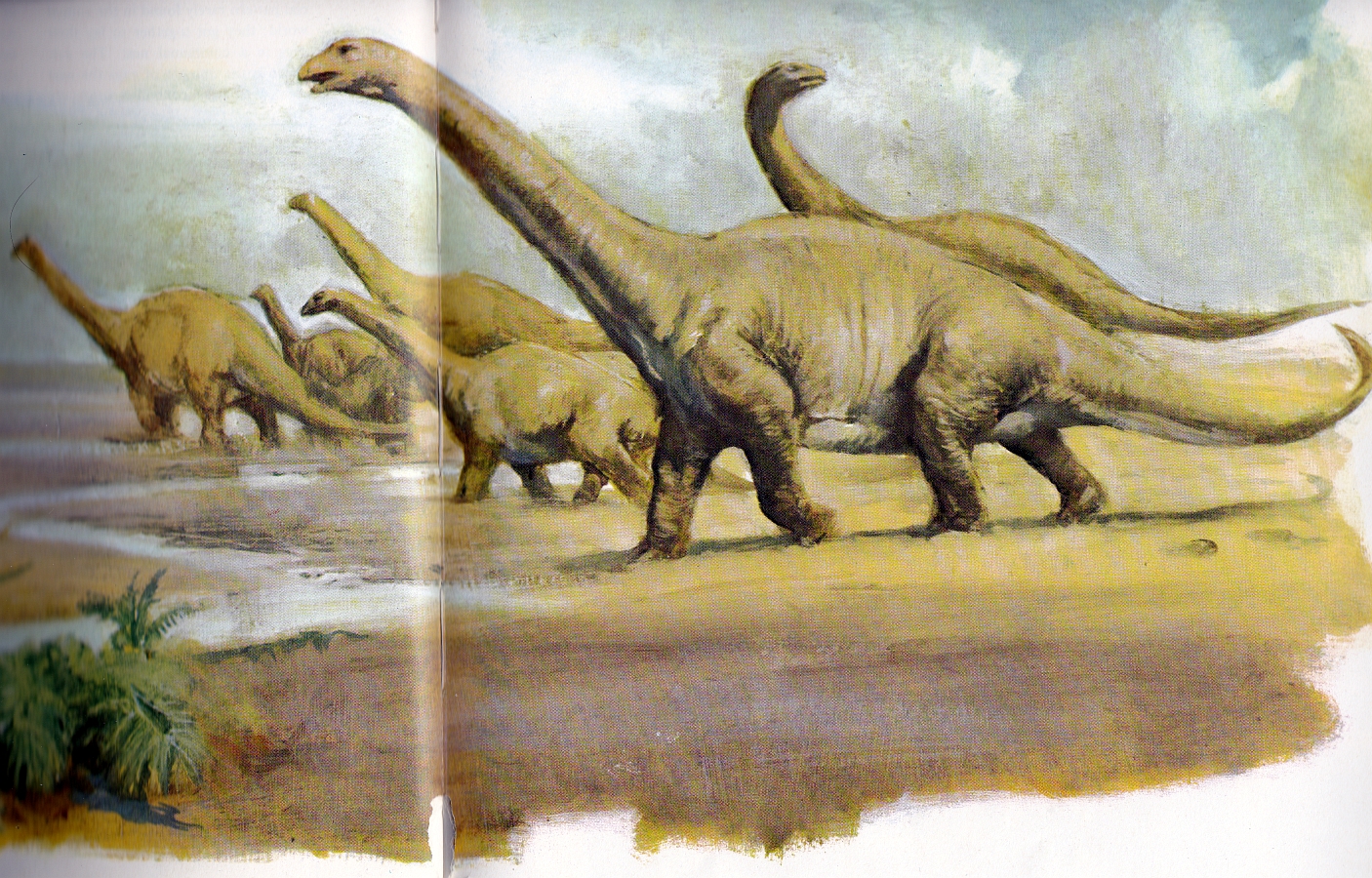 Brontosaurus by Burt Silverman