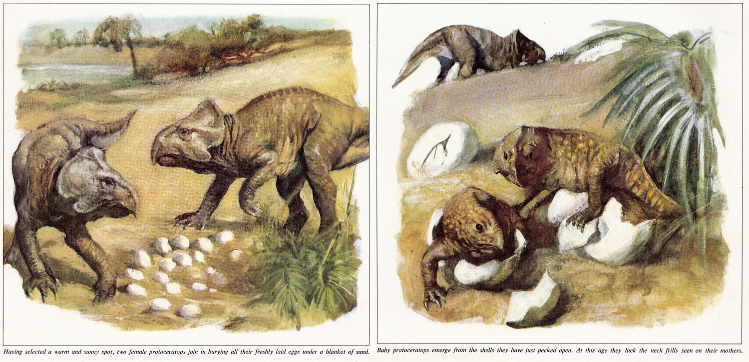 Protoceratops by Burt Silverman