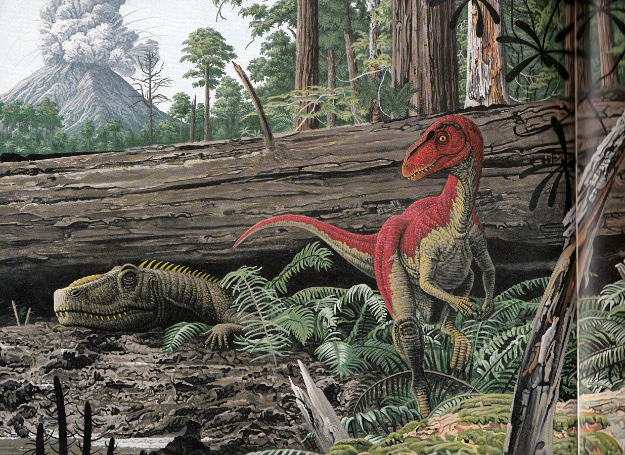 Herrerasaurus by Alan Barnard