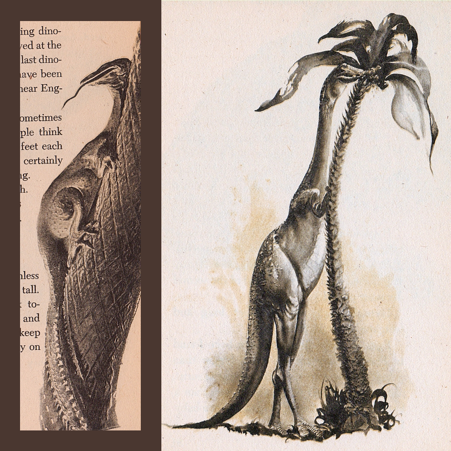 Image collage of George Solonevich's illustrations of Hypsilophodon and Ornithomimus from "Dinosaurs and More Dinosaurs."