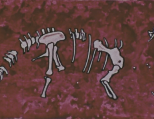 An illustration of a sauropod skeleton