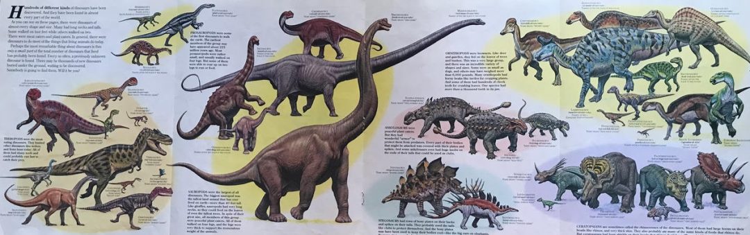A spread of dinosaur artwork featuring representatives of each major clade.