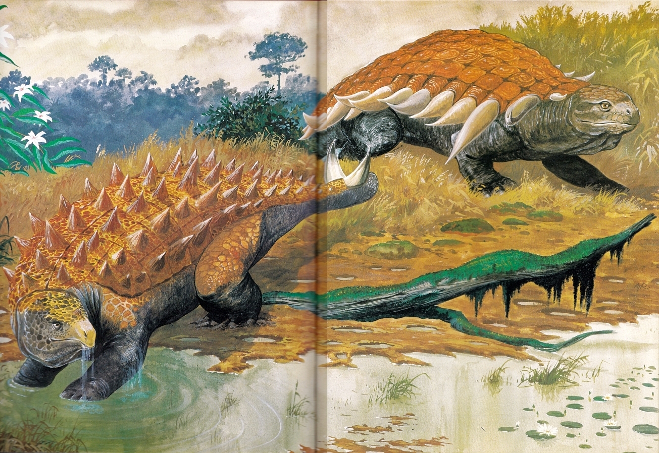 Scolosaurus and Palaeoscincus by Wilcock Riley Graphic Art