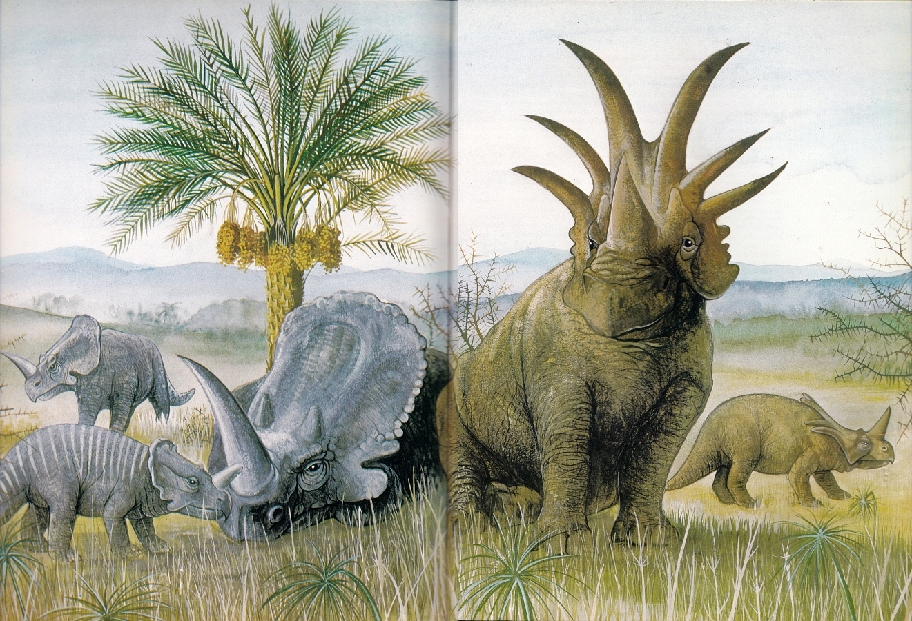 Monoclonius and Styracosaurus by Wilcock Riley Graphic Art