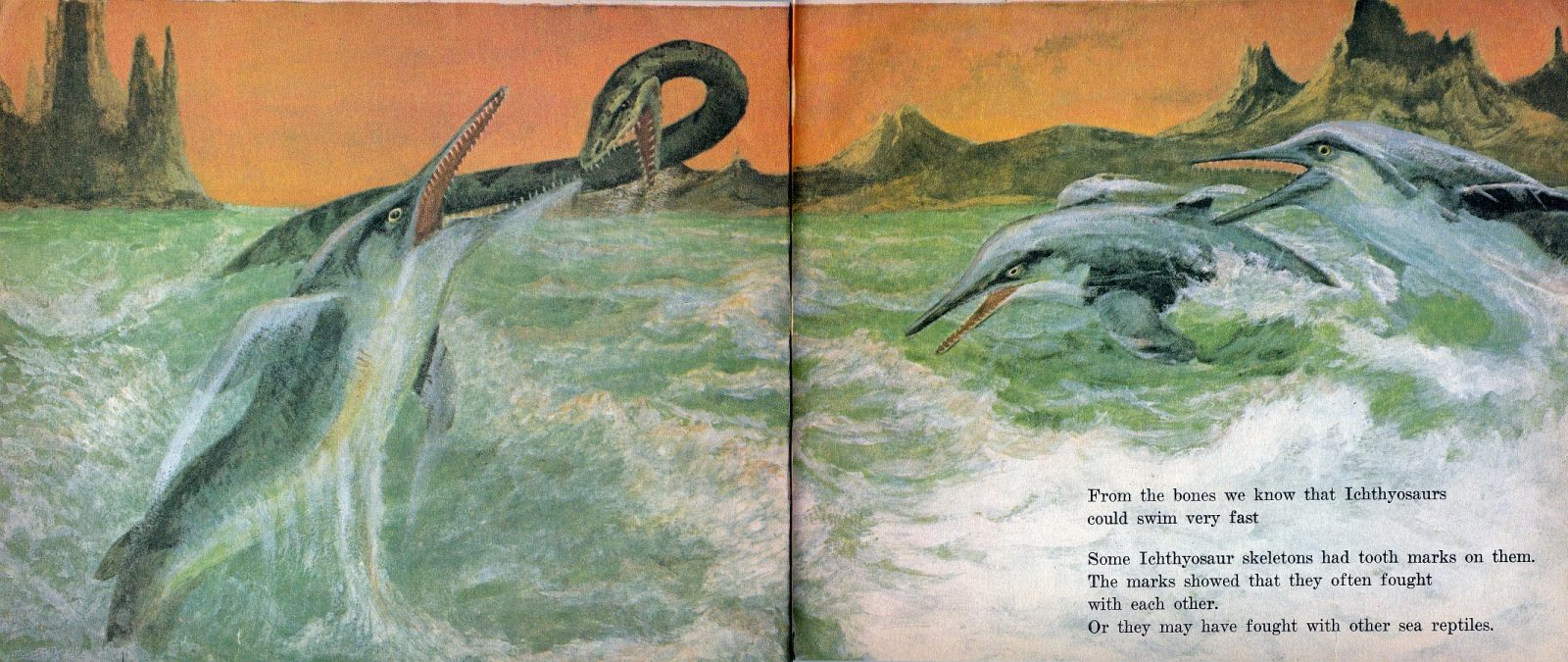 Plesiosaur v ichthyosaurs by John Hamberger