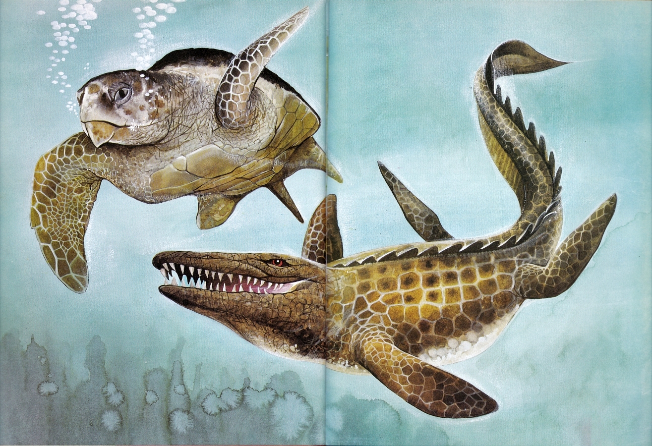 Archelon and mosasaur by Wilcock Riley Graphic Art