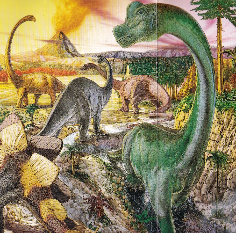 Mamenchisaurus, Apatosaurus, Diplodocus, Brachiosaurus by Ian Coleman