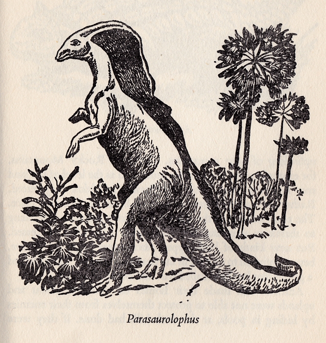 Parasaurolophus by W R Lohse