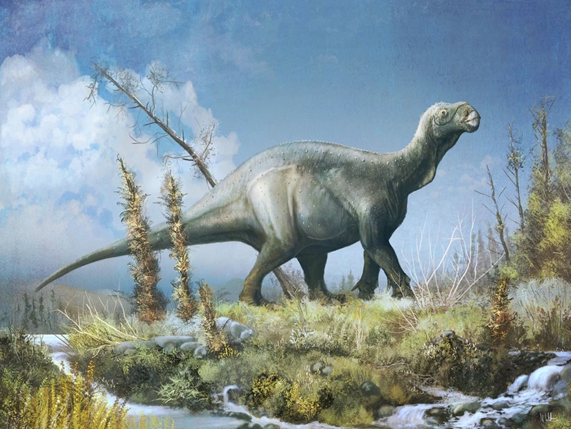Painting of the ornithopod dinosaur Iguanodon walking in front of a blue sky.