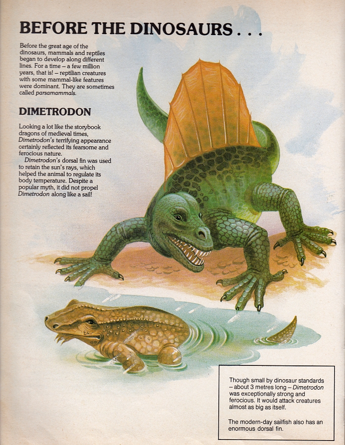 Dimetrodon - Discovering Dinosaurs