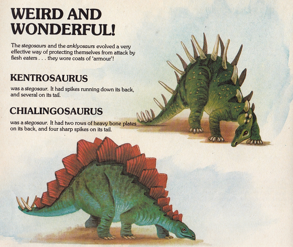 Stegosaurs - Discovering Dinosaurs