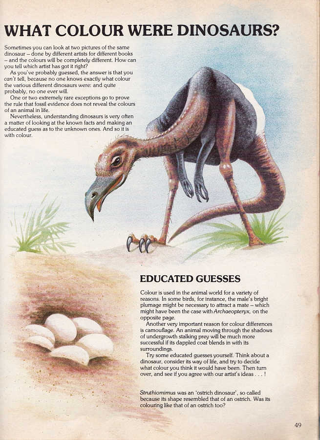 Struthiomimus - Discovering Dinosaurs