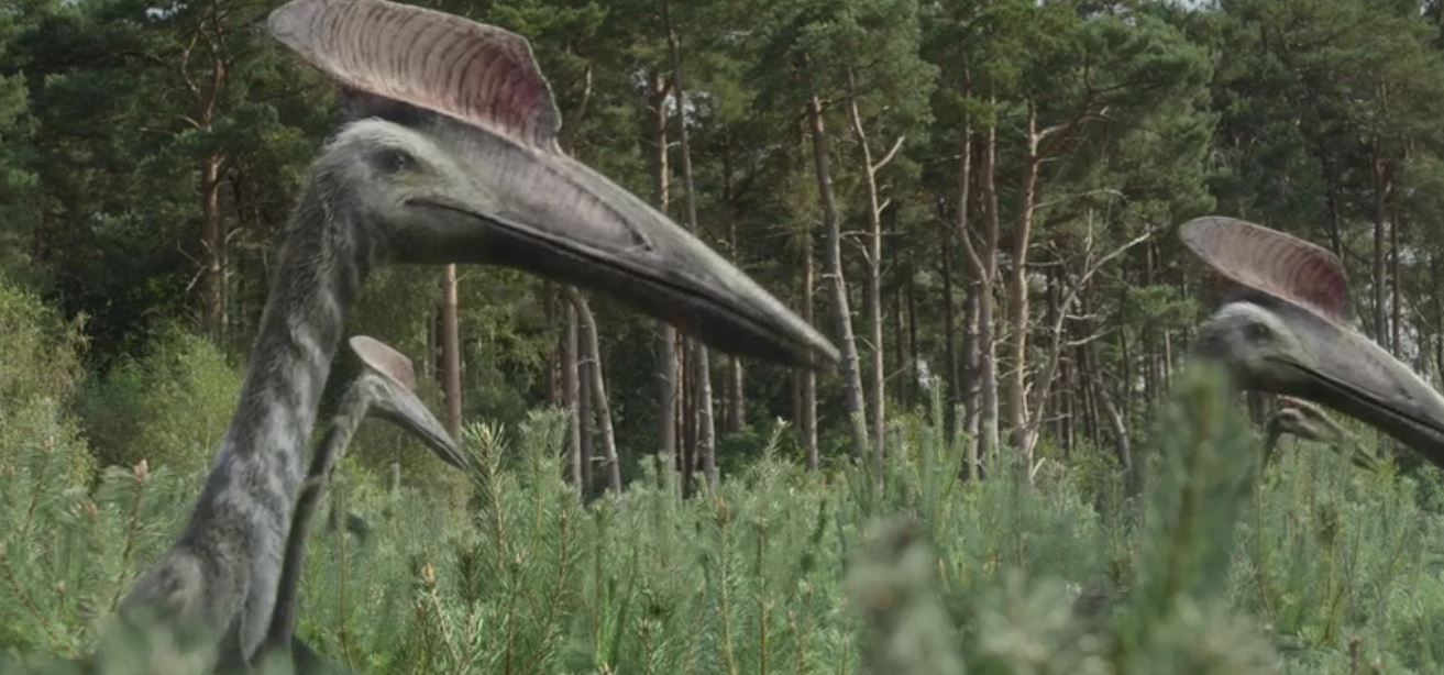 Prehistoric Planet Hatzegopteryx