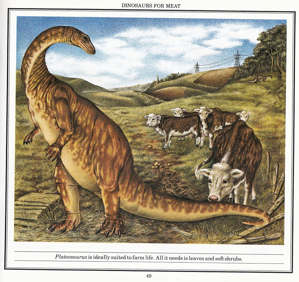 Plateosaurus by Diz Wallis