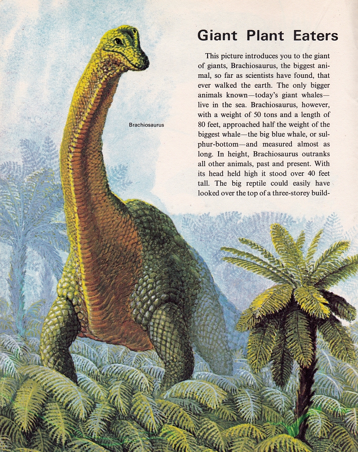 Golden World Explorer Book - Brachiosaurus